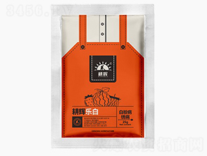 ΢�������-���x����-���x