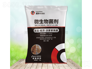 ΢�������-Ӣ�����R˹