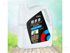 ����ࣨ΢���������-Ӣ�����R˹