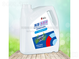 �����~����-Ӣ�����R˹