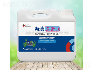 5kg�����~����-Ӣ�����R˹