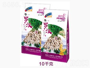 �Aһ�_�h-�����N��-���o(j��)��(r��n)�r(n��ng)