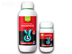 �������-ӯ���r(n��ng)�I(y��)