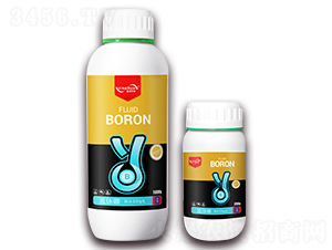 ���w��-ӯ���r(n��ng)�I(y��)