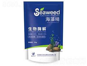 ���徫������ø�⡿-ԥ���S