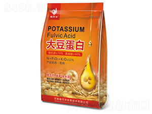 �󶹵���-ԥ���S