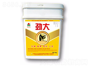 �Ŵ�-���A��