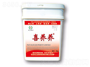 ϲ�B(y��ng)�B(y��ng)-���A��