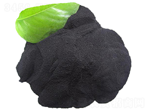 ������ֲ���ĩ-����