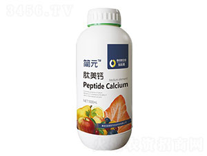 �����}-��Ԫ-������