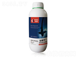 �~ӯ�T-�~�[��-������