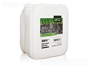 ���r�S-�����-������