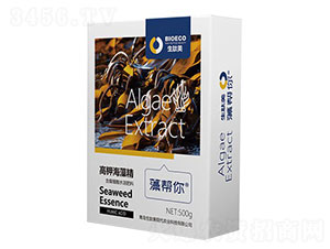 ����ֲ��ˮ�ܷ���-��⛺��徫-�����-������