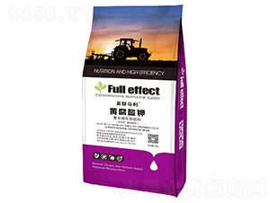 �S����⛏�(f��)��΢������ϣ����ξ��x(ch��ng)��-Ӣ(li��n)�R��-�W������