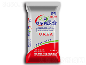 �Ķ�������-����ؐ��