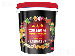 ΢�������-�\����-���ڷʘI(y��)