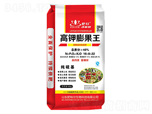 ��ֲ���͏�(f��)���16-8-22-��������-���ؠ�