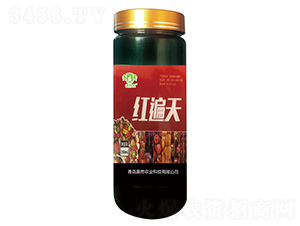 �t����-�Z���-�WȻ�r�I(y��)