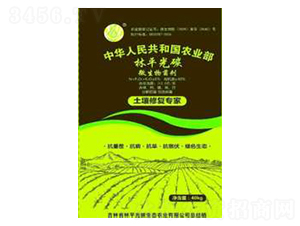 ΢�������-��ƽ��̼