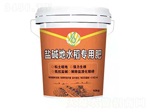 �}�A��ˮ������-��ƽ��̼