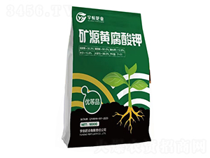 �VԴ�S�����-���ʘI(y��)