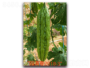 �A�M��-��ϷN��-ӳɽ��