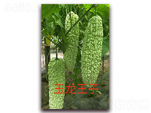 ��������-��ϷN��-ӳɽ��