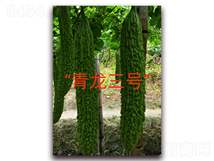 ������̖-��ϷN��-ӳɽ��