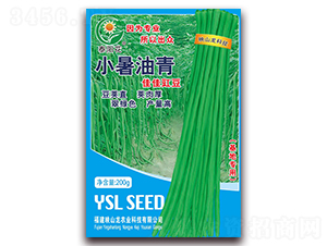 С������-�����N��-ӳɽ��