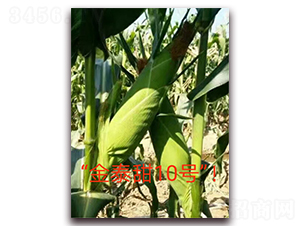 ��̩��10̖(h��o)-ˮ�����׷N��-ӳɽ��