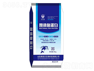 ���w�~���ף��{(l��n)����-ʩ���S