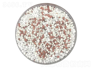 �t�׷��-ͬ�w����