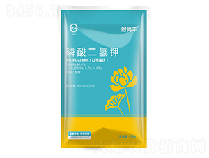 ��������-�r(sh��)���S-ʥ���r(n��ng)�I(y��)