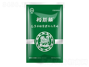 ���b����������탞(y��u)������-ԣ����-ʥ���r�I(y��)