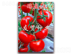 ��ӯ2̖-�tɫ���ѷN��-���t�N�I(y��)