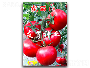 �P��1̖-��ɫ���ѷN��-���t�N�I(y��)