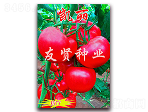 �P��-��ɫ���ѷN��-���t�N�I(y��)