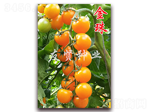 ����-�Sɫ����С���ѷN��-���t�N�I(y��)