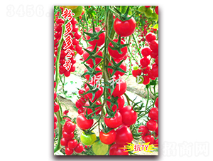 �۶��2̖(h��o)-��TY��������С���ѷN��-���t�N�I(y��)