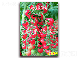 ��ӯ2̖(h��o)-��TY��������С���ѷN��-���t�N�I(y��)