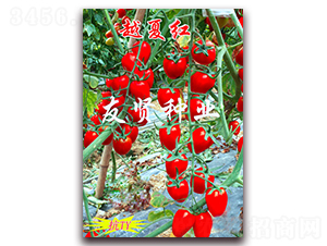 Խ�ļt-��TY��������С���ѷN��-���t�N�I(y��)