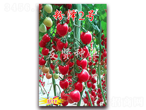 �۝�2̖(h��o)-��TY��������С���ѷN��-���t�N�I(y��)