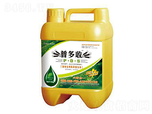 �����������Һ-�ն���