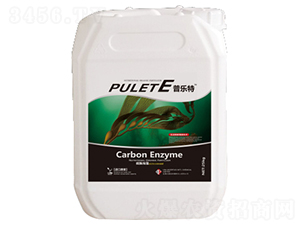 �՘���-�ն���