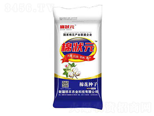 �޻��N��-�ޠ�Ԫ-���S�r(n��ng)�I(y��)