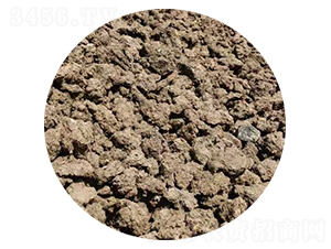 ţ�S-�f�Z���r(n��ng)�I(y��)