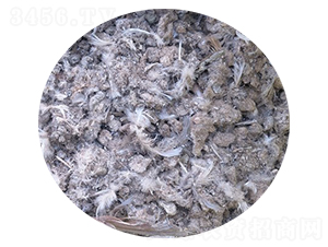 ���ӼS-�f�Z���r(n��ng)�I(y��)