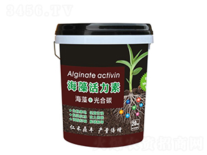 ���������-�ʺ̶��S