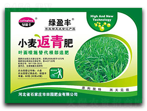 С�������-��@�ʘI(y��)