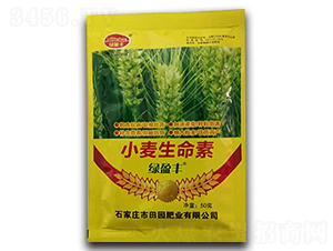 С��������-��@�ʘI(y��)